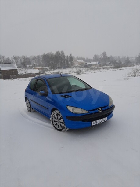 Peugeot 206 I, 2000 г.