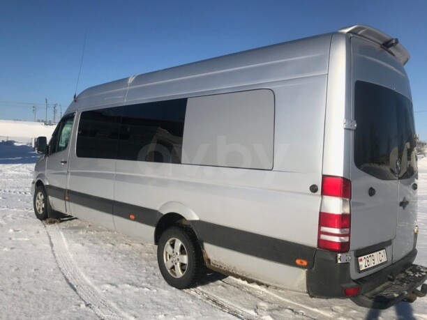 Mercedes-Benz Sprinter 906319, 2011 г.