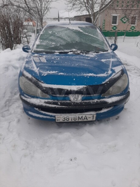 Peugeot 206 I, 2004 г.