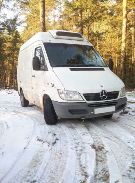 Mercedes Sprinter 308, 2006 г.
