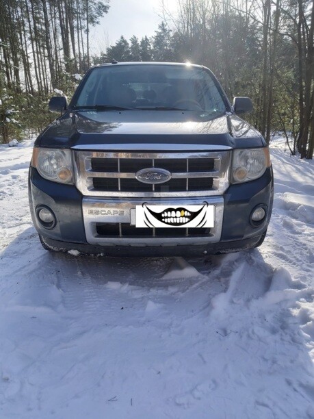 Ford Escape II, 2009 г.
