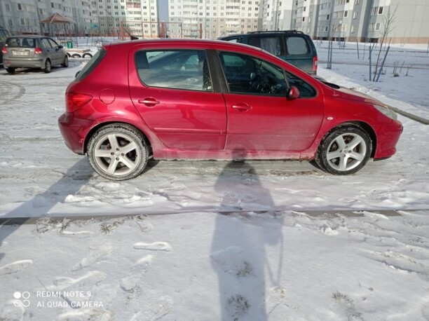 Peugeot 307 I · Рестайлинг, 2006 г.
