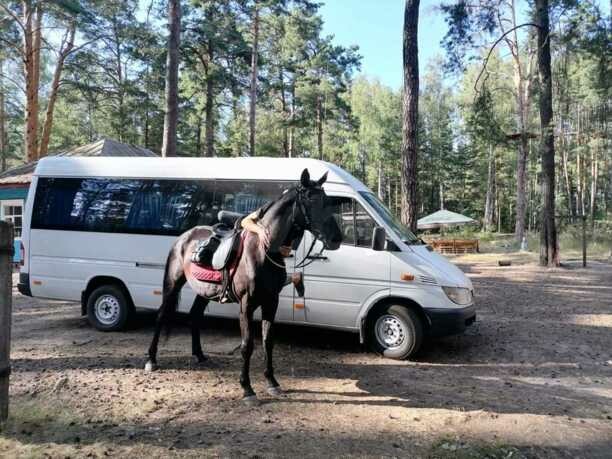 Mercedes-Benz Sprinter, 2002 г.