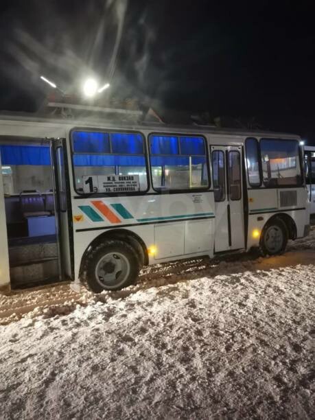 ПАЗ 3205, 2008 г.