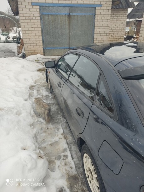 Mazda 323F, 1995 г.