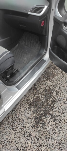Peugeot 207 I, 2008 г.