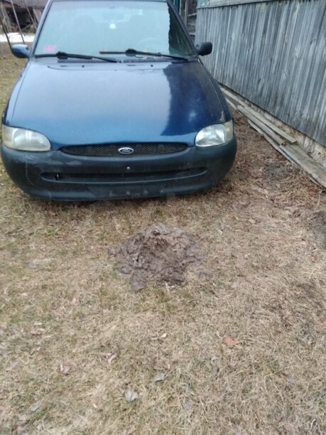Ford Escort V · 2-й рестайлинг, 1998 г.