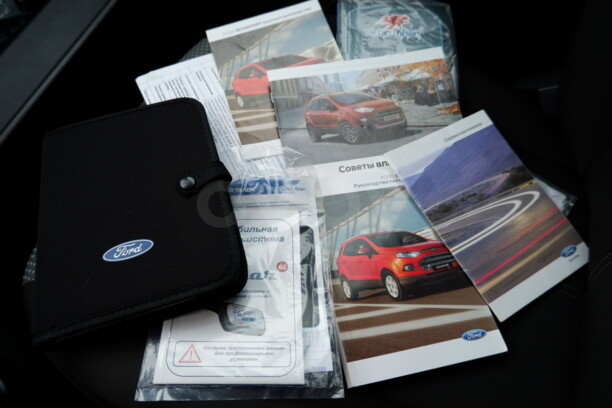 Ford EcoSport, 2015 г.