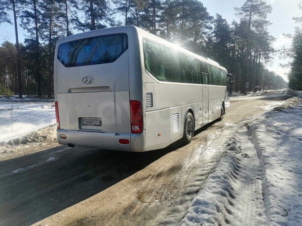 Hyundai Universe SPASE LUXURY, 2010 г.