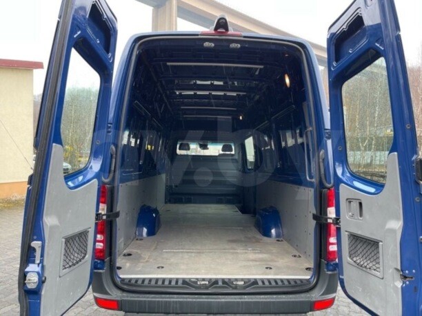 Mercedes Sprinter 316CDI Super Maxi, 2017 г.