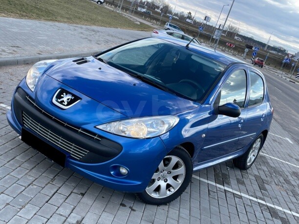 Peugeot 206 Plus, 2010 г.