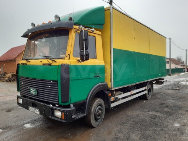 МАЗ 4370, 2006 г.
