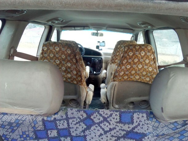 Kia Carnival I, 7 мест, 2000 г.