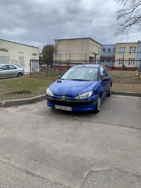Peugeot 206 I, 2003 г.