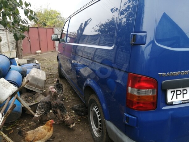 Volkswagen T5, 2008 г.