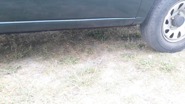 Suzuki Grand Vitara FT, 2000 г.