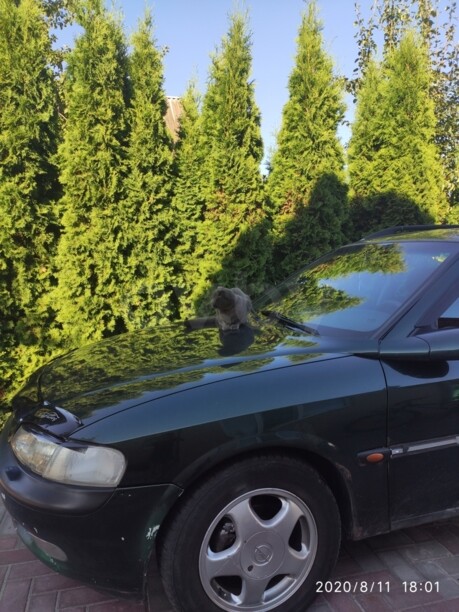 Opel Vectra B, 1998 г.