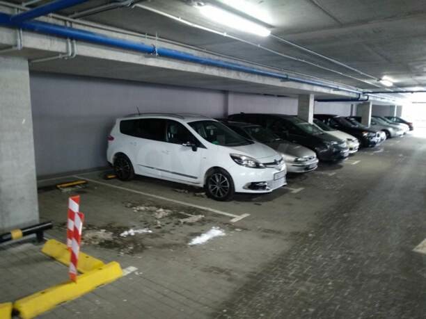Renault Grand Scenic III · 2-й рестайлинг, 5 мест, 2014 г.
