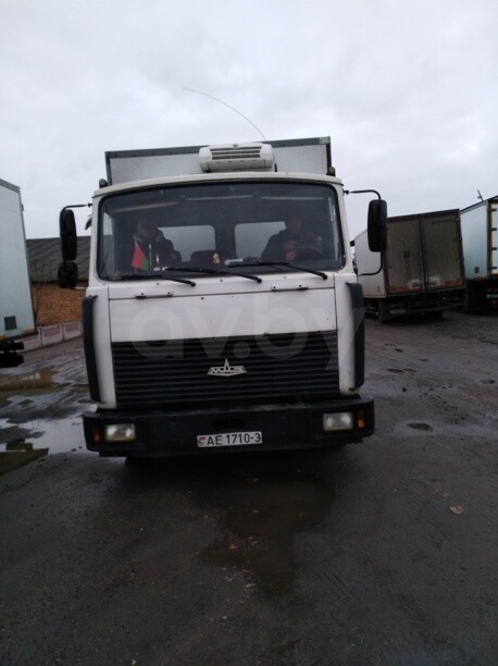 МАЗ 4370, 2009 г.