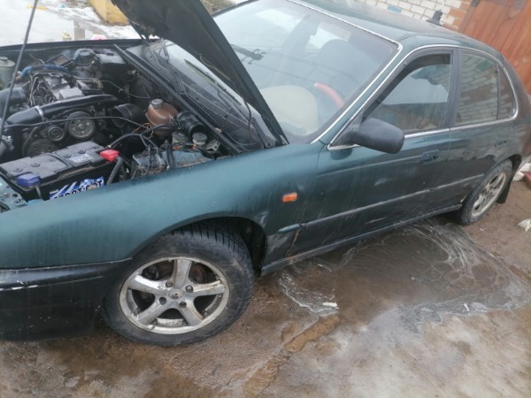 Rover 600, 1995 г.