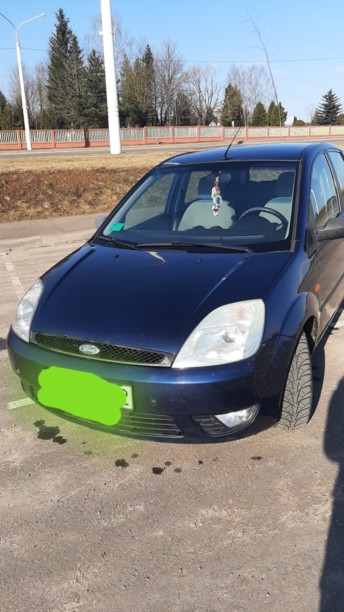 Ford Fiesta V, 2002 г.