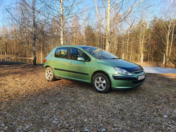 Peugeot 307 I, 2002 г.
