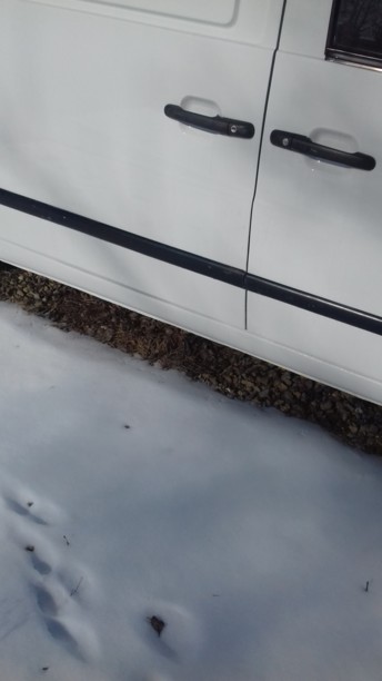 Mercedes-Benz Vito W638, 2000 г.