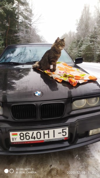 BMW 3 серия E36, 1997 г.