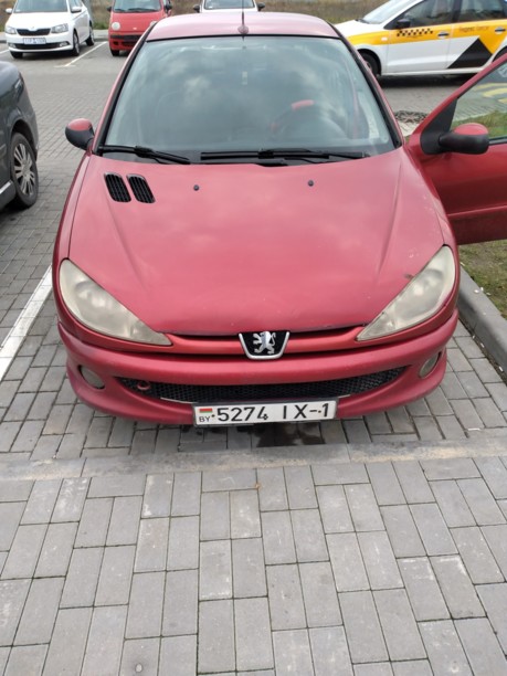 Peugeot 206 I, 2007 г.