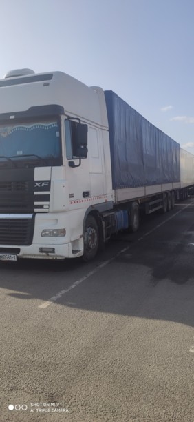 DAF XF 95, 2003 г.