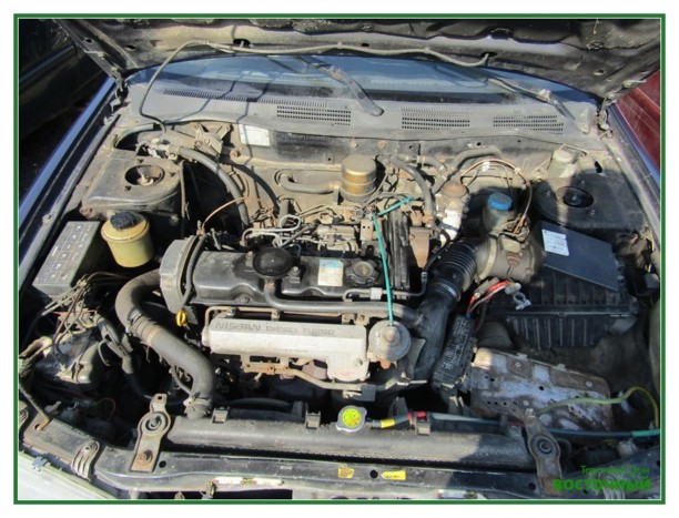Nissan Primera P11, 1996 г.