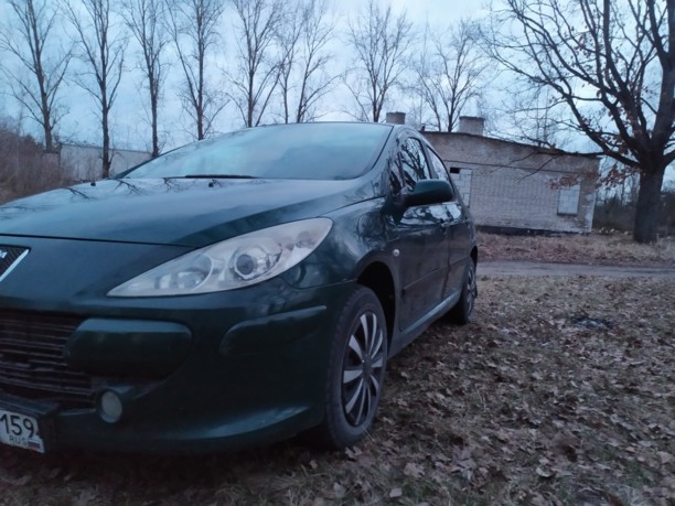 Peugeot 307 I · Рестайлинг, 2006 г.