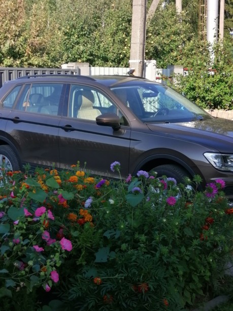 Volkswagen Tiguan II, 2019 г.
