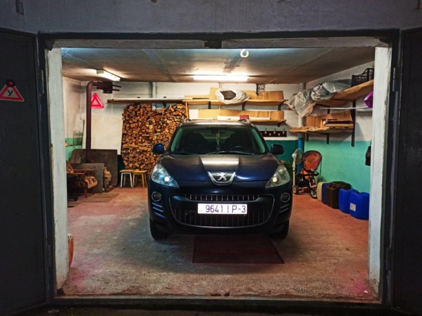 Peugeot 4007, 2010 г.