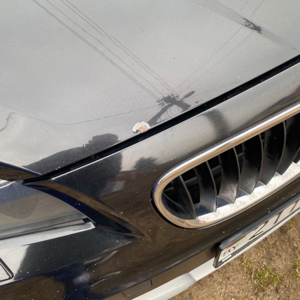 BMW X1 E84, 2009 г.