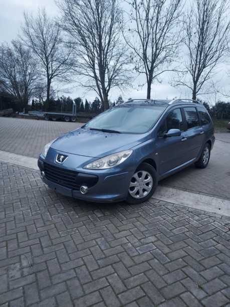 Peugeot 307 I · Рестайлинг, 2006 г.