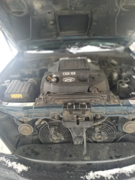Hyundai Terracan I, 2003 г.