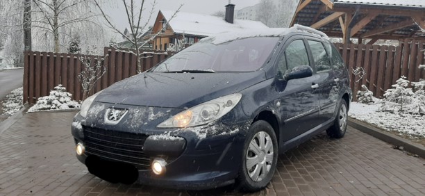 Peugeot 307 I · Рестайлинг, 2007 г.