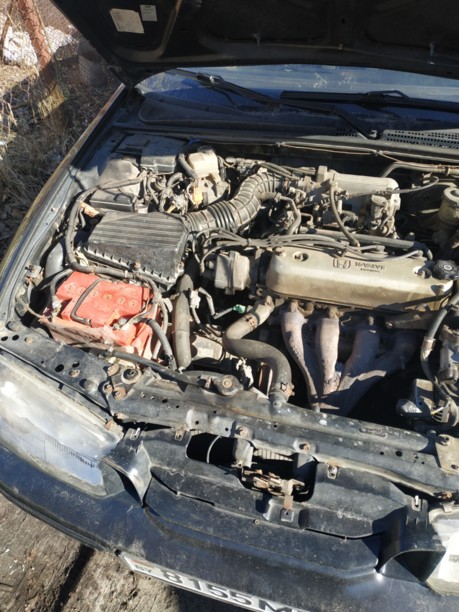 Honda Accord V, 1995 г.
