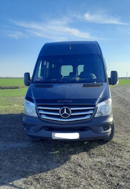 Mercedes-Benz Sprinter 316, 2012 г.