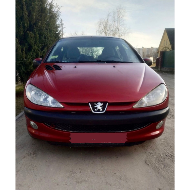 Peugeot 206 I, 2004 г.