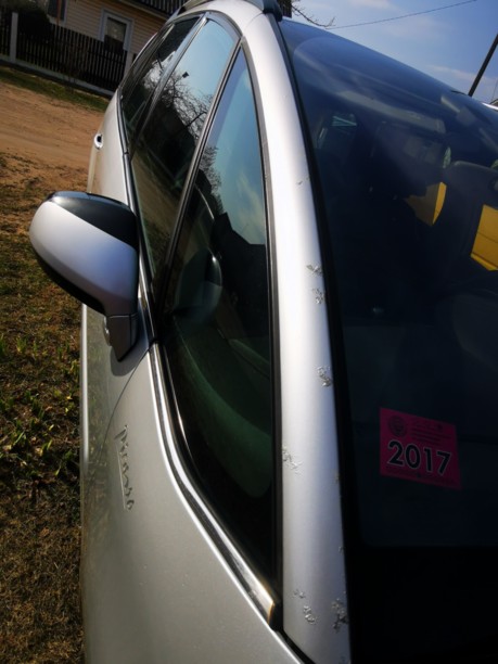 Citroen C4 Grand Picasso I, 7 мест, 2009 г.