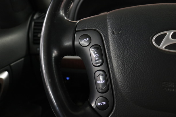 Hyundai Santa Fe CM, 5 мест, 2007 г.