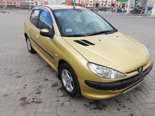 Peugeot 206 I, 2004 г.