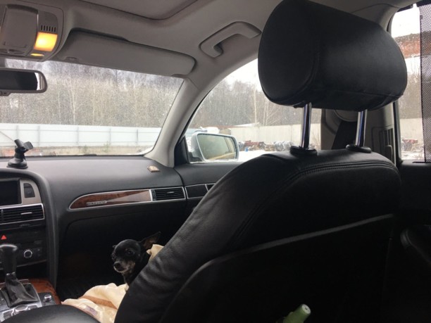Audi A6 Allroad C6, 2006 г.