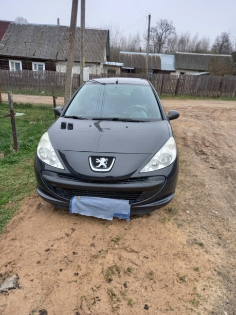 Peugeot 206 Plus, 2010 г.