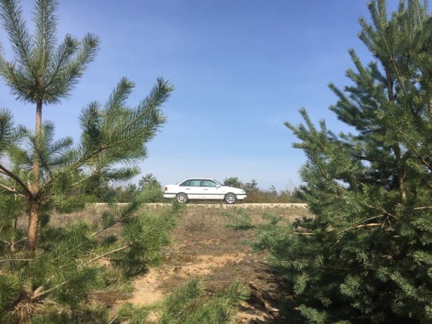 Volkswagen Passat B4, 1994 г.