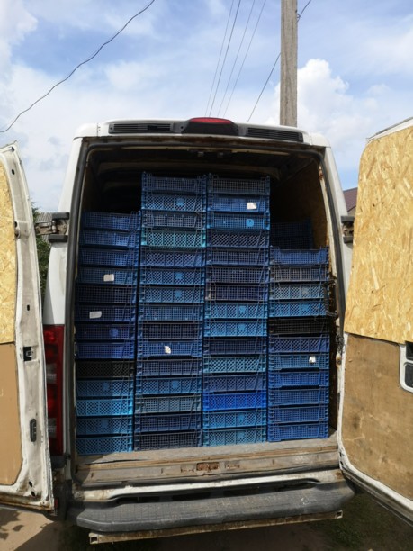Iveco 35-12, 2007 г.