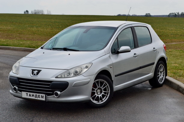Peugeot 307 I, 2004 г.