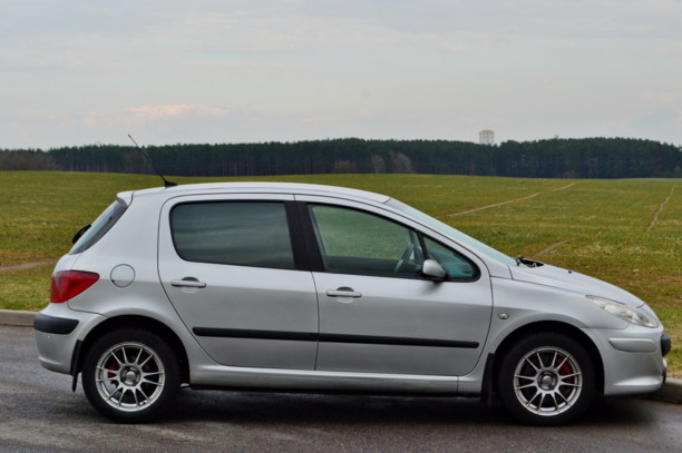 Peugeot 307 I, 2004 г.